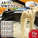 【ふるさと納税】【大容量！早い茹で上がり♪】早ゆでうどん 300g×15袋 五島うどん 乾麺 麺 保存食 業務用 大容量 【中本製麺】 [RAO007]