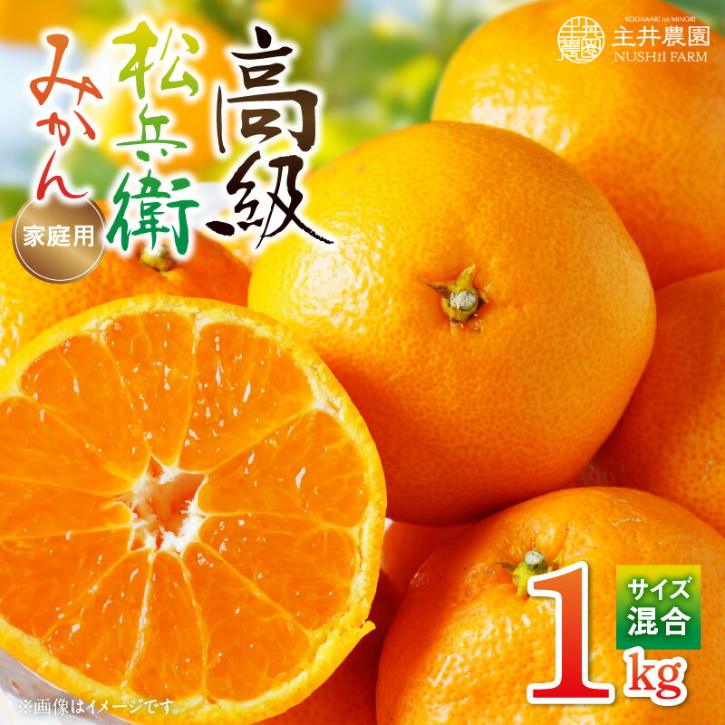 【ふるさと納税】主井農園 高級 松兵衛みかん ご家庭用 1kg お試し (サイズ混合)【ミカン 蜜柑 柑橘 温州みかん 和歌山】