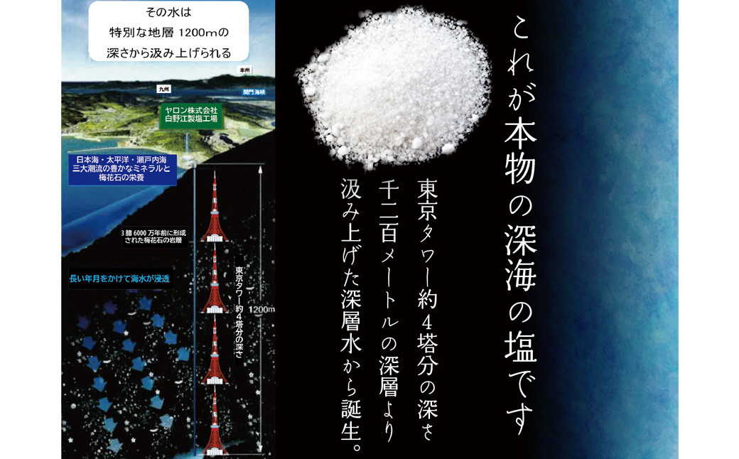 深海の恵み 関門の塩 合計500g (100g×5袋) ミネラル 塩 調味料 塩分濃度86.1％ カルシウム マグネシウム カリウム しお 少量 小分け