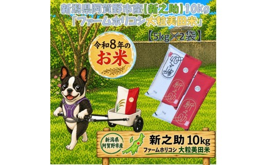 【令和8年産新米予約】阿賀野市産新之助「ファームホリコシ 新之助」10kg（5kg×2袋） 白米 精米 新潟県 米 こめ コメ 新米 新米予約 令和8年産 9月下旬~10月上旬頃より発送開始予定 3H15028