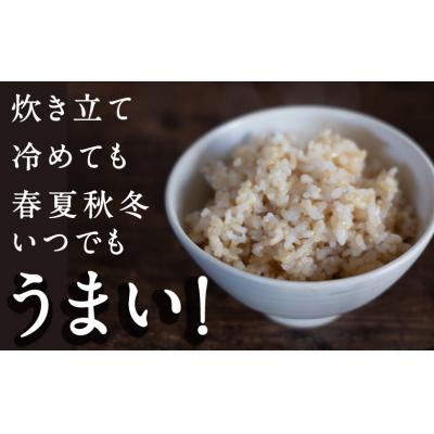 ふるさと納税 うきは市 【特Aランク米】五庄屋の地で作ったお米 元気つくし玄米 (5kg)【Go庄屋合同会社】 |  | 02