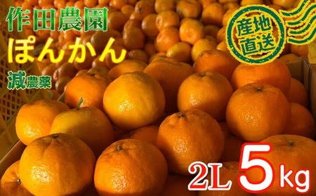 【秀品】作田農園直送！ポンカンＭサイズ 5kg_減農薬 有機肥料 ポンカン ぽんかん くだもの 果物 フルーツ 柑橘 かんきつ みかん ミカン 人気