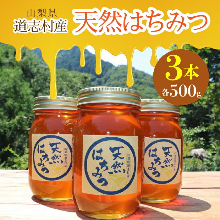 【ふるさと納税】 道志村産　天然はちみつ（500g×3本）ふるさと納税 はちみつ ハチミツ 蜂蜜 ハニー パン 食パン 山梨県 道志村 送料無料 DSD002