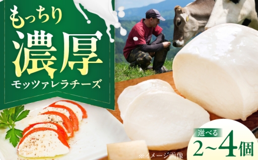 山地放牧酪農ミルクのモッツァレラチーズ 3個セット/チーズ モッツアレラチーズ 愛媛県 伝統製法 おつまみ 乳製品 モッツァレラチーズ モッツァレラ フレッシュチーズ カプレーゼ サラダ ピザ 大人気チーズ 美味しいチーズ おしゃれ 人気 おすすめ 送料無料 ナチュラルチーズ 新鮮 おつまみチーズ 乳製品 加工食品 食品 グルメ お取り寄せグルメ/株式会社醍醐 [BKAH007]