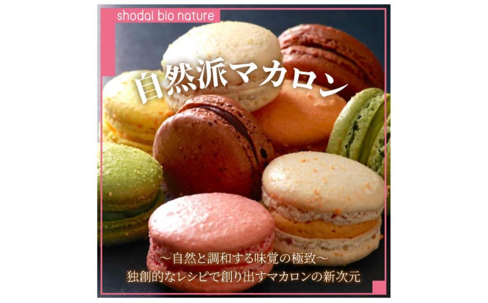 【定期便 3回 毎月お届け】【グルテンフリー】マカロン詰め合わせ10個入/10種類 カラフルで可愛らしいこだわりのマカロン＜福岡市＞