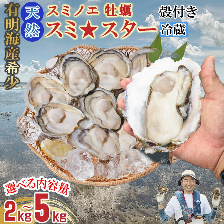 【ふるさと納税】【先行予約】 【選べる配送月・内容量】【天然】有明海産住之江牡蠣 スミ☆スター 2キロ〜5キロ 殻付き 牡蠣 冷蔵牡蠣 スミノエ牡蠣 カキ 殻付き かき 冷蔵 貝 貝類 天然 送料無料 海鮮 海産 海産物 【B120-047】