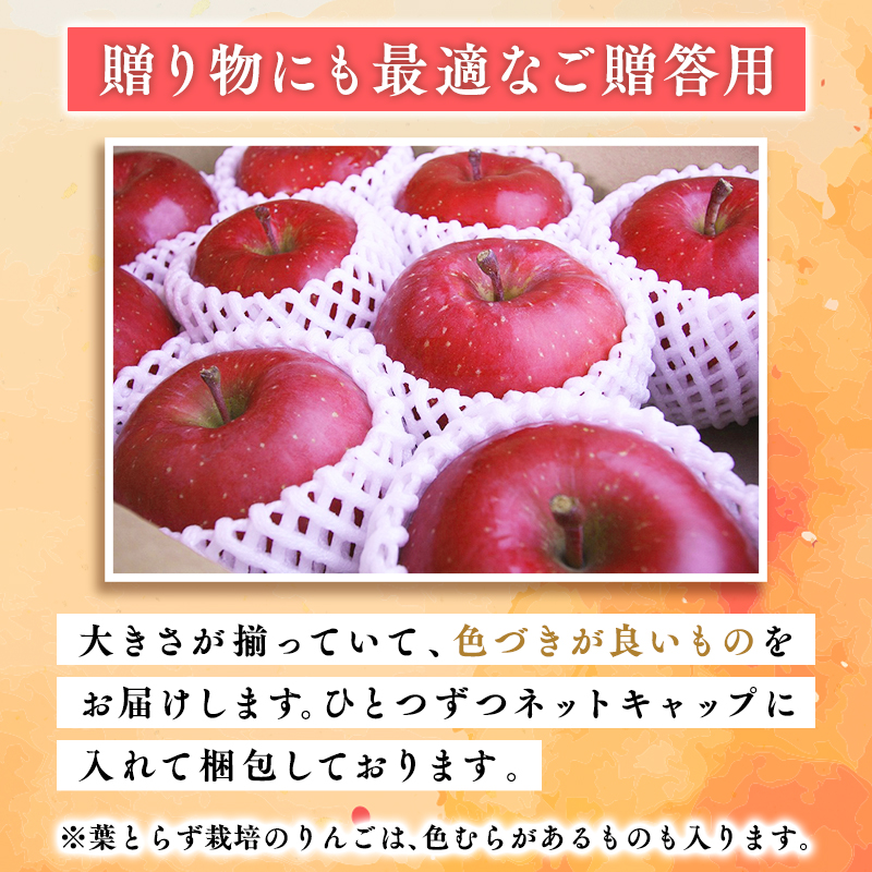 １０月・１１月発送　贈答用シナノスイート3ｋｇ　【そと川りんご園・１０月・１１月・青森県産・平川市・りんご・シナノスイート・3ｋｇ・贈答用】