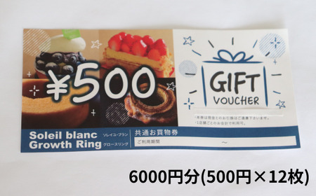 店舗利用券6000円分 2025/9/19～