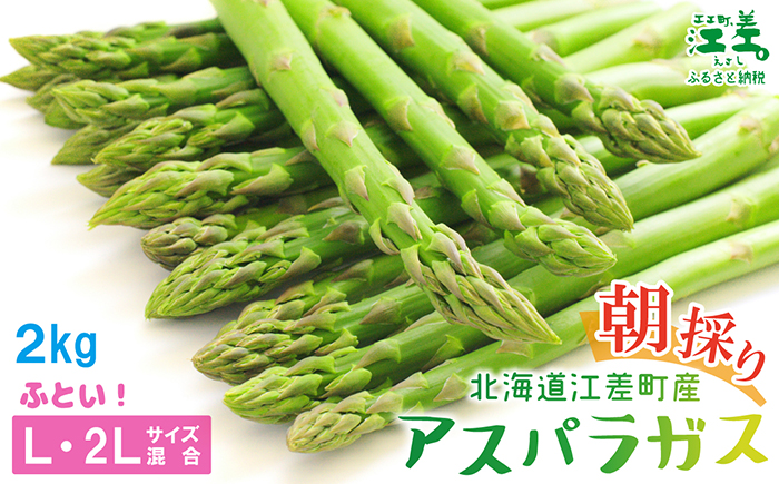 ＼夏アスパラ 先行予約受付中／北海道江差町産 アスパラガス【L〜2Lサイズ】 2kg　約40本　太い！ 甘い！ ジューシー！　朝採り　農家直送　新鮮　鮮度保持　北海道　旬野菜　グリーンアスパラ　アスパラ　ギフト　贈答