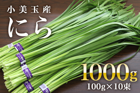 【数量限定】＜5月～11月発送予定＞ 小美玉市産にら 100g×10 17-AA