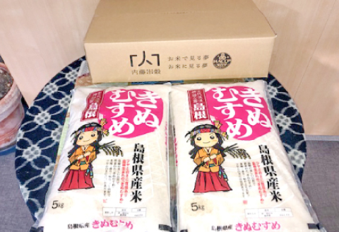 令和6年産 美郷きぬむすめ 10kg（5kg×2袋）【米 お米 精米 白米 ブランド米 きぬむすめ 10kg 5kg×2袋 2024年産】