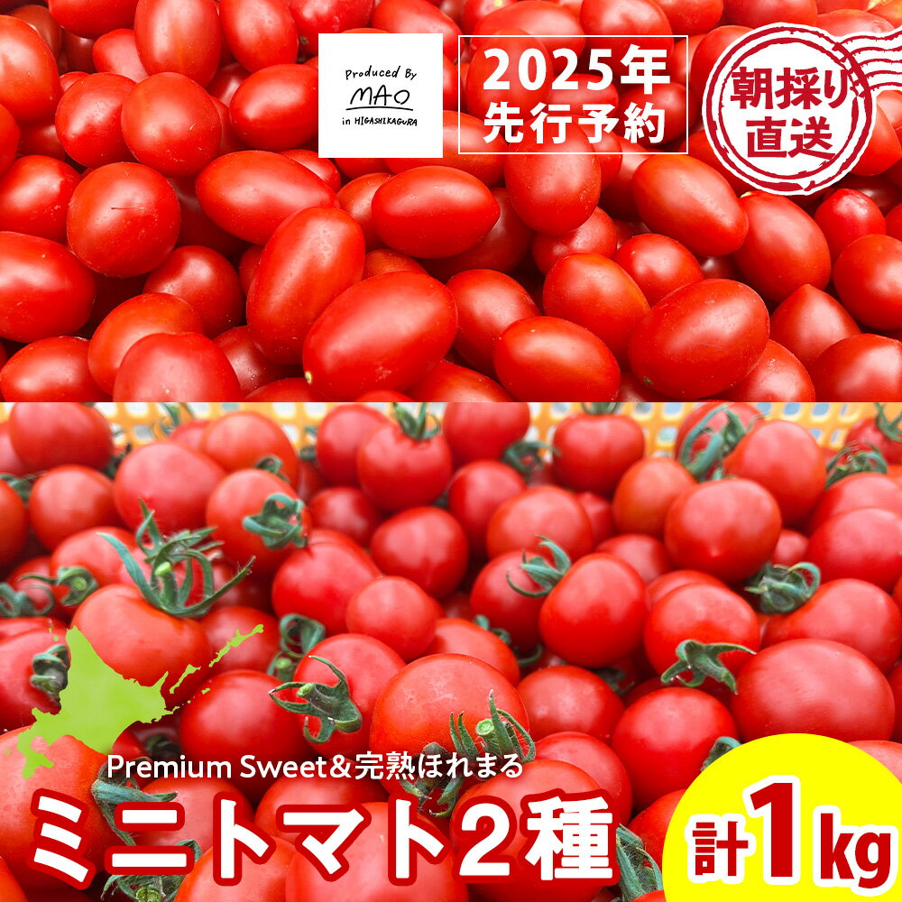 【ふるさと納税】【2025年先行予約】 朝採りフルーツミニトマト＆完熟ほれまる ミニトマト 1kgミニトマト 朝採り 新鮮 生鮮 野菜 トマト ふるさと納税 北海道 東神楽