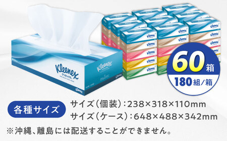 クリネックス 60箱 ボックスティッシュ ティッシュペーパー [BDBH001-1]