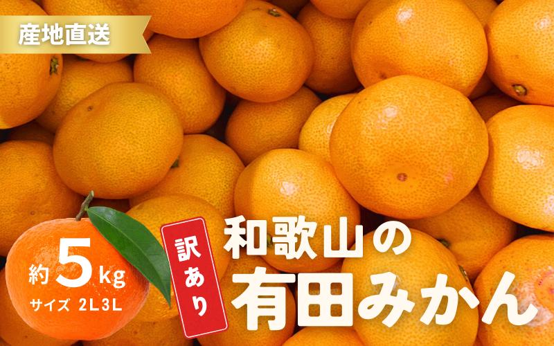 
家庭用 訳あり 有田みかん 和歌山 2L,3Lサイズ 5kg【10月上旬～1月下旬頃に順次発送】/ みかん フルーツ 果物 くだもの 有田みかん 蜜柑 柑橘【ktn011】
