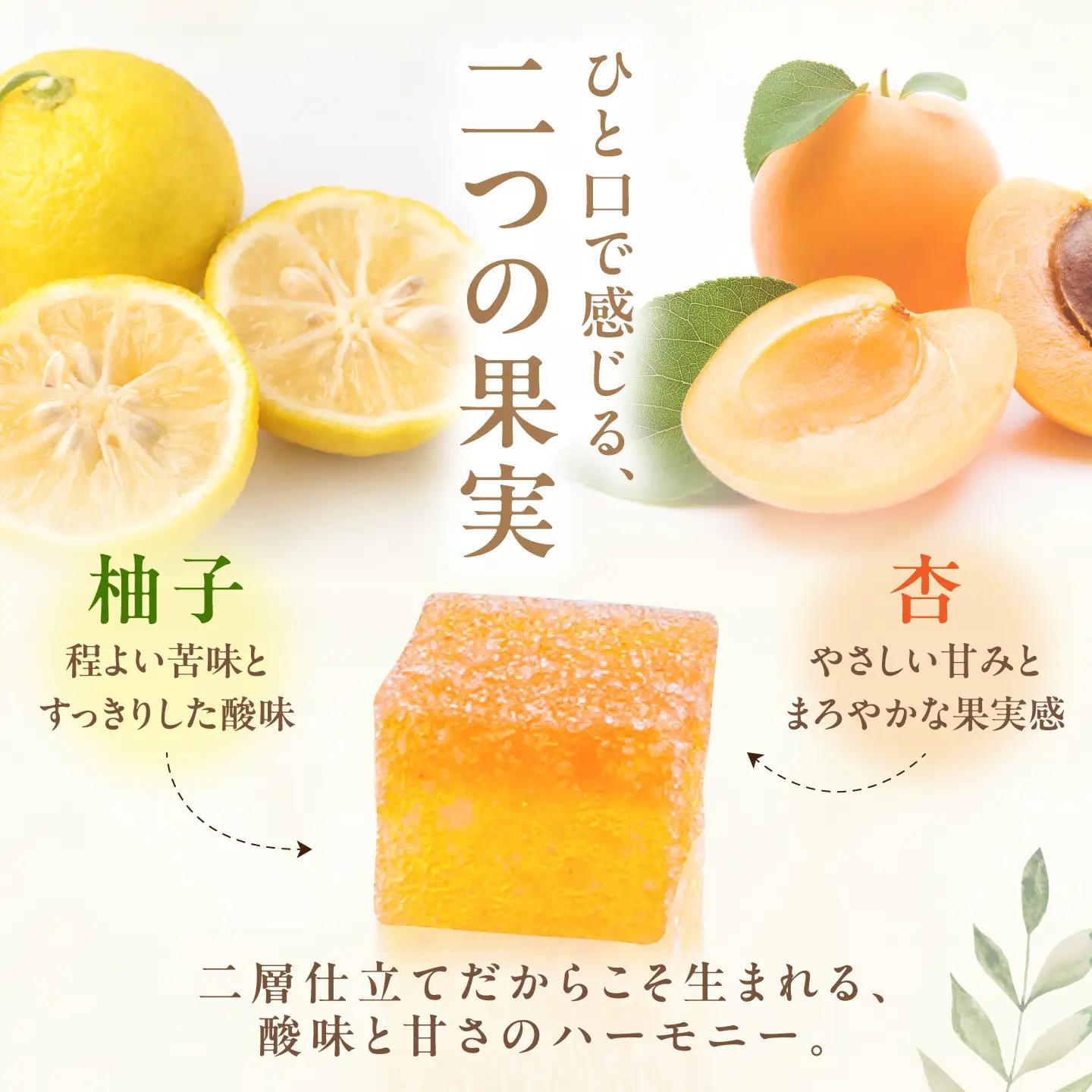 柚子と杏のフリュイ 18個セット / 箱入り 柚 杏子 和菓子 スイーツ おやつ 恵那市 / 恵那寿や[AUAS028]