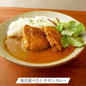 ポークカレー・チキンカレー2種セット(各2食入り)【配送不可地域：離島】【1372126】