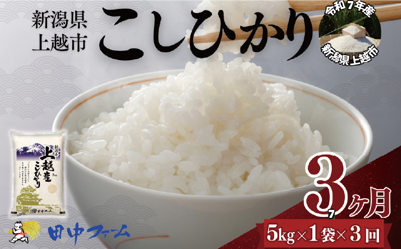 上越市産 新潟 コシヒカリ　5kg 3か月定期便 上越市 精米 米 コメ こしひかり ブランド米