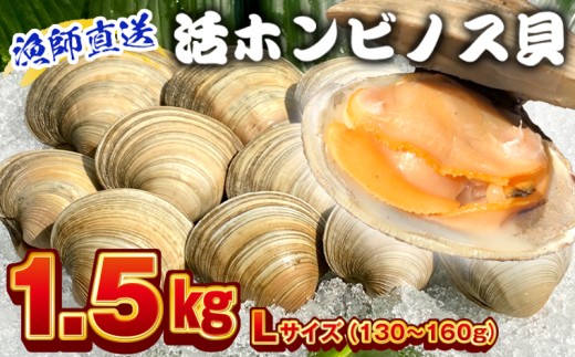 漁師直送！活ホンビノス貝1.5kg（Lサイズ）　ホンビノス 貝 白はまぐり 大あさり 浜焼き BBQ バーベキュー アウトドア キャンプ 漁師直送 産地直送 魚介類 海鮮 貝 シーフード クラムチャウダー スープ パスタ 天ぷら 酒蒸し 千葉県