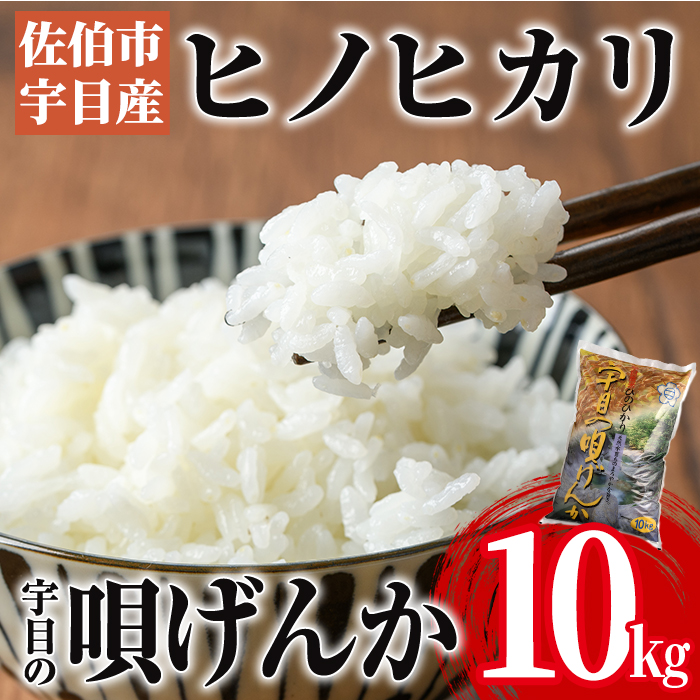 ＜令和6年産・新米＞佐伯市 宇目産 ヒノヒカリ (10kg・1袋) 国産 新米 大分県産 米 こめ お米 ご飯 ひのひかり 食卓 大分県 佐伯市【AY62】【 (公財)さいき農林公社】