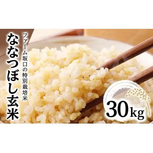 令和8年産！ファーム坂口の特別栽培米 ななつぼし玄米 30kg (30kg×1袋)