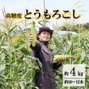 【ふるさと納税】とうもろこし 先行予約 高糖度 ゴールドラッシュ 約 4kg L サイズ 10~12本 2025年 7月23日 ~ 8月10日 発送予定 岩手県 遠野市 菊池一真 農家直送 産地直送 朝採り 甘い コーン 夏 野菜 トウモロコシ 数量限定 送料無料