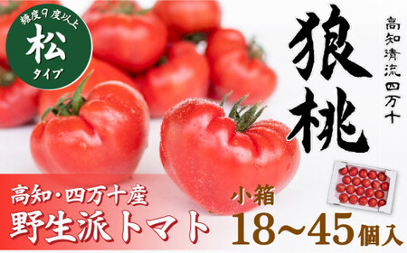 【先行予約／2026年3月中旬から発送】四万十育ち「狼桃」 糖度9度以上 松タイプ 小箱（18～45個入） Fdf-09 フルーツトマト トマト とまと 野菜 数量限定 期間限定 数量限定 トマト トマト トマト トマト トマト トマト