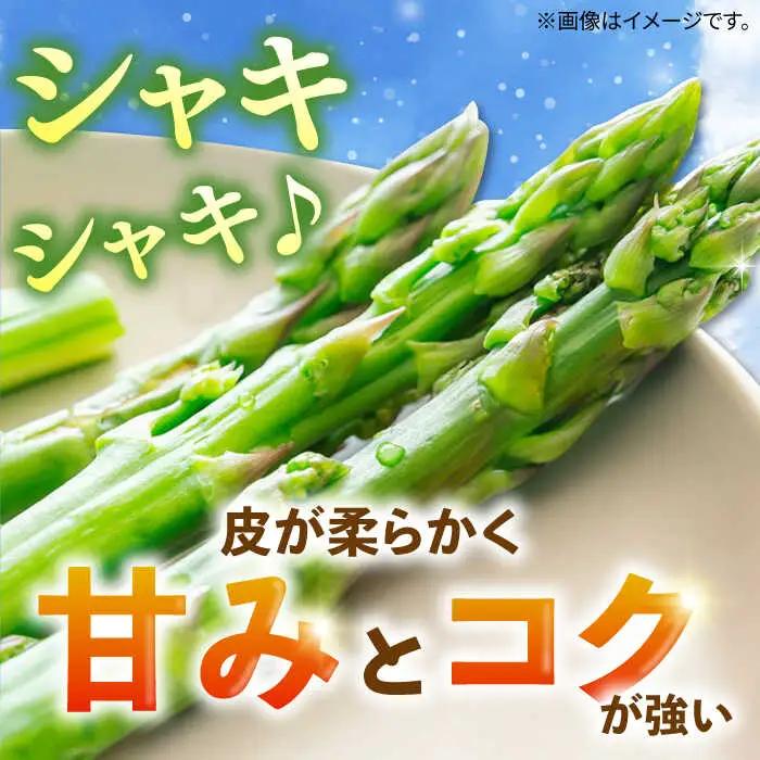 アスパラガス 2kg[JBO148] アスパラ 野菜