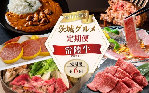 【定期便 全6回】 肉 常陸牛 6ヶ月 定期便 Aコース ハンバーグ 焼肉 すき焼き レトルトカレー コンビーフ ギフト セット 食べ物ギフト対応 【肉のイイジマ】 茨城県 水戸市（DU-107）