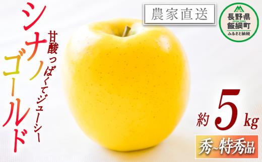 りんご シナノゴールド 秀 ～ 特秀 5kg 丸山功農園 沖縄県への配送不可 2025年10月下旬頃から2025年11月上旬頃まで順次発送予定 令和7年度収穫分 信州 果物 フルーツ リンゴ 林檎 長野 16000円 予約 農家直送 長野県 飯綱町 [1174]