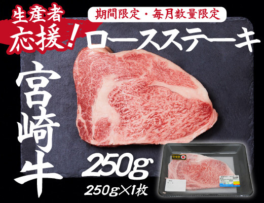
                  【生産者応援！】宮崎牛ロースステーキ250g（ 宮崎牛 国産 牛肉 和牛 霜降り ステーキ ロース 冷凍 送料無料）
                