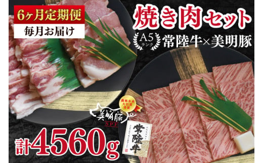【6ヶ月定期便】【常陸牛 A5ランク・美明豚焼肉セット】常陸牛カルビ360ｇ＋美明豚400ｇ（ロース200ｇ・ばら200ｇ）冷凍 国産牛 和牛 牛肉 豚肉 ブランド豚 食べ比べ お取り寄せ 老舗精肉店