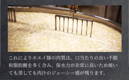 合計６kg！肉のあさひ大人気！【のぼりべつ乳清豚（ホエー）】ハンバーグ120g×10個[全5回お届け]