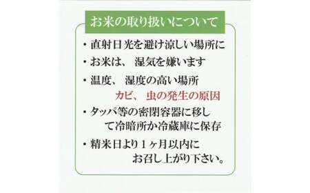 令和7年産  大山しらゆき米 10kg (精白、コシヒカリ)  コシヒカリ こしひかり 米 精白米
