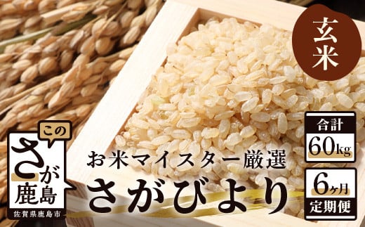 11月発送開始 新米【定期便 6ヶ月】 佐賀県産 さがびより 玄米 10kg《6ヶ月連続 毎月お届け》 6回 J-4　令和7年産