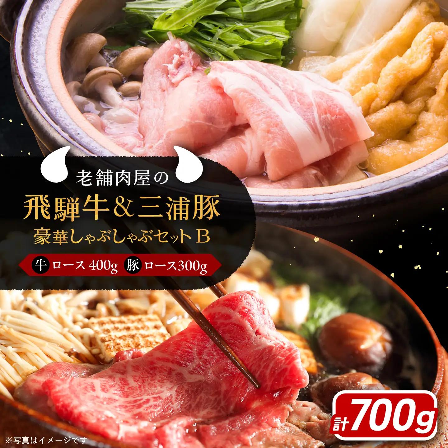 飛騨牛ロース400g 三浦豚ロース300g 豪華しゃぶしゃぶセットB 各種類1パック / 恵那市 / 岩島屋 [AUAJ026]