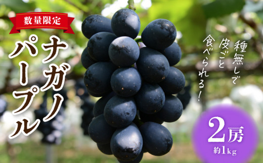 【先行受付2026年発送】東御市産ナガノパープル2房（約1kg）【8月下旬～9月下旬発送】| 長野県 長野 人気 ぶどう 贈答用 ギフト 2房 フルーツ 果物 おすすめ 厳選 種無し 皮ごと 大粒 食べ比べ