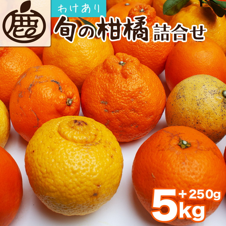 ＜1月より発送＞家庭用 柑橘詰合せ5kg+250g（傷み補償分）◇【訳あり・わけあり】【有田の春みかん詰め合わせ・フルーツ詰め合せ・オレンジつめあわせ】【光センサー選別】 ※北海道・沖縄・離島への配送不可 ※2026年1月上旬～4月下旬頃に順次発送予定