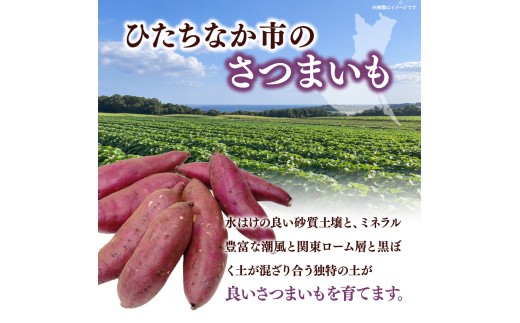 紅はるか【訳あり】長期熟成のさつまいも 10kg 扇屋商店｜紅はるか  国産 サツマイモ 薩摩芋 さつま芋 10kg ポテト 焼いも 焼き芋 焼芋 無添加 おやつ 自然食品 ねっとり 甘い 自然甘味 