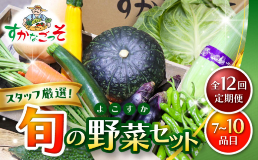 【全12回定期便】よこすか野菜セット すかなボックス / 野菜 やさい 野菜ボックス 野菜セット 野菜詰め合わせ 産地直送 野菜BOX おまかせ 食べ比べ 新鮮 季節 【JAよこすか葉山】 [ASCB004]