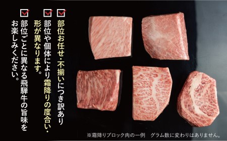 【2週間～発送】訳あり 飛騨牛ブロック [塊] 計600g 霜降り肉 赤身肉 ブロック肉 300g×2 食べ比べ 部位お任せ 不揃い BBQ 焼肉 焼き肉 ローストビーフ 20000円 2万円 [S0