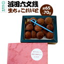 【ふるさと納税】生チョコレート「沼田六文銭チョコ」約65〜70g