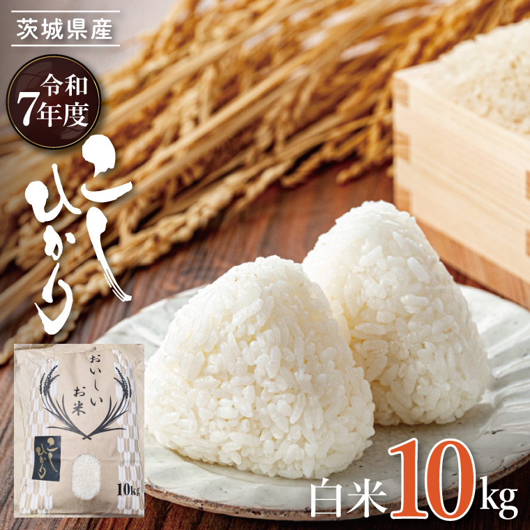 【数量限定】R7年産 コシヒカリ 白米10kg|お米 米 こしひかり コシヒカリ 白米 茨城県 取手市（BQ001）