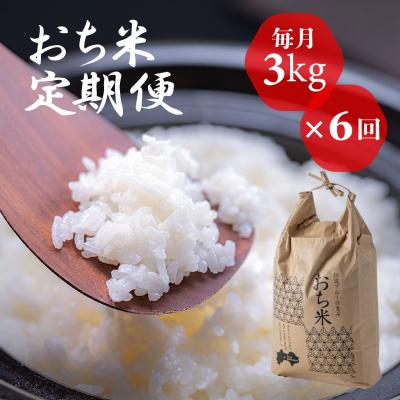 ふるさと納税 越知町 「おち米」定期便　(3kg × 6回)　産直　白米