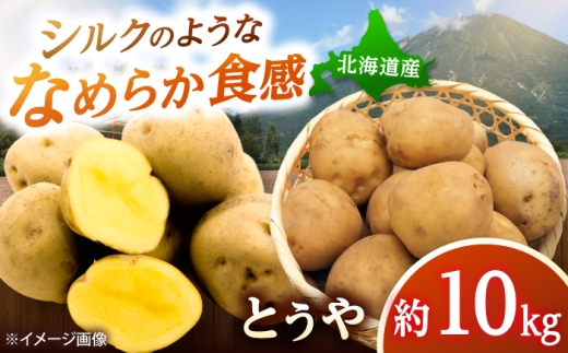 じゃがいも とうや 10kg  |  じゃがいも とうや 野菜 やさい 北海道 産地直送 | 道の駅 真狩フラワーセンター [BPAM023]