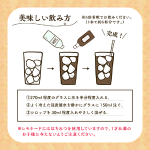【2025年11月下旬～発送】とびしまレモン1kgとレモンシロップセット ku118-007-25
