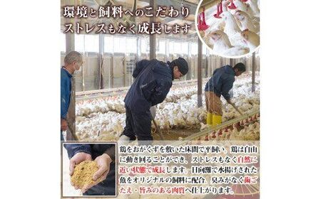 宮崎県産ブランド鶏「夢創鶏」もも・むね切身セット (計2kg・200g×各5P) 鶏肉 国産 小分け 冷凍【C-26】【株式会社 英楽】