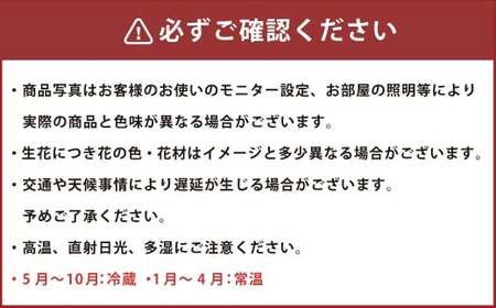 【おまかせ】 生花アレンジ Sサイズ 生花 生け花 花 フラワー アレンジ 日用品 雑貨 九州 熊本県 熊本市 常温 冷蔵