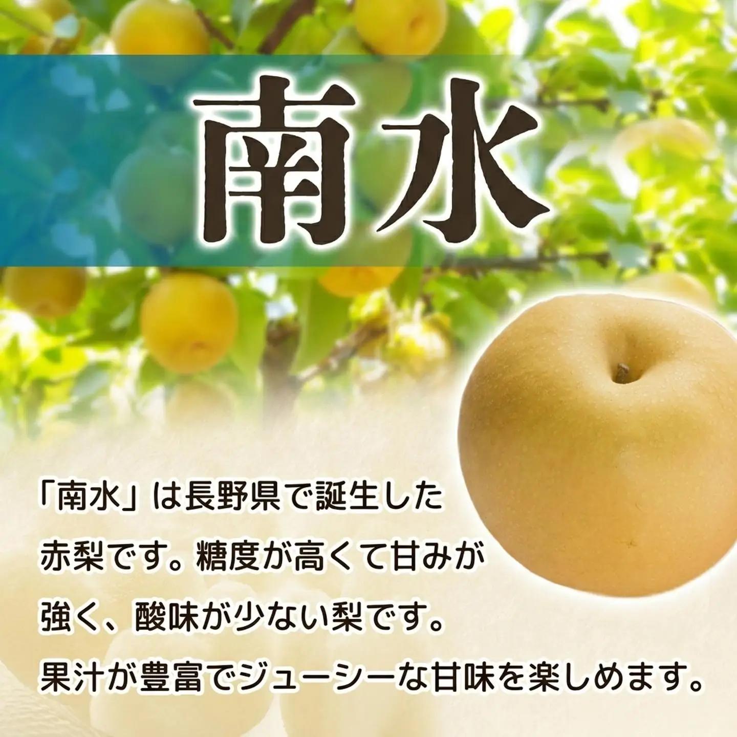 梨 南水 約5㎏ 梨