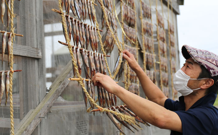 さんま食べつくしセット（一夜干し5尾・しめさんま2パック）《厚真町》【株式会社めぐみ水産】 さんま 干物 しめさんま 海鮮 冷凍配送 北海道 [AXAZ005]