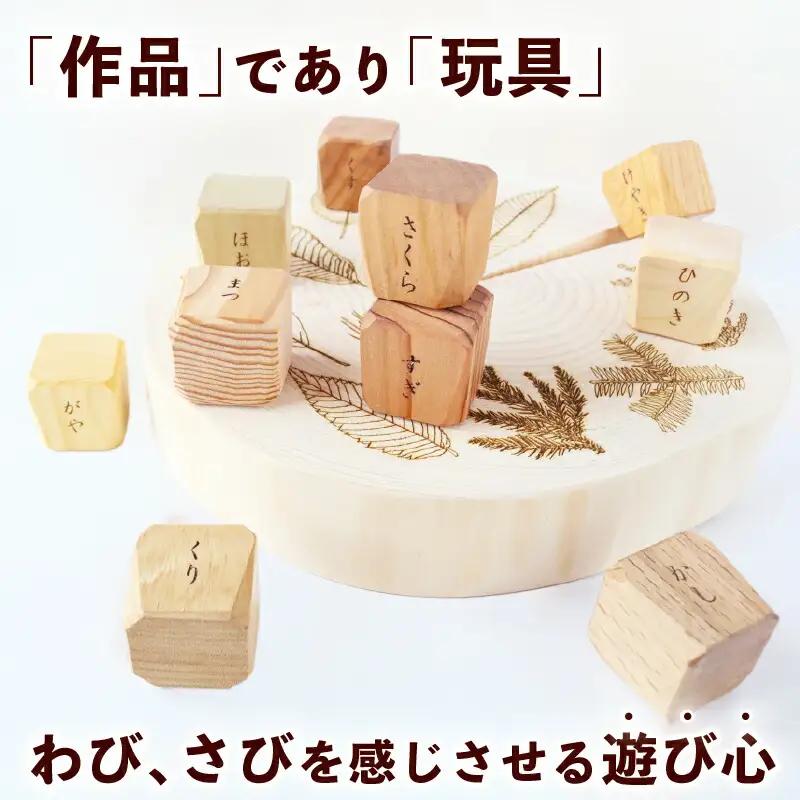 【知育玩具】ウッドデザイン賞受賞！『mekikinoki』  知育 木育 溝渕木材工業